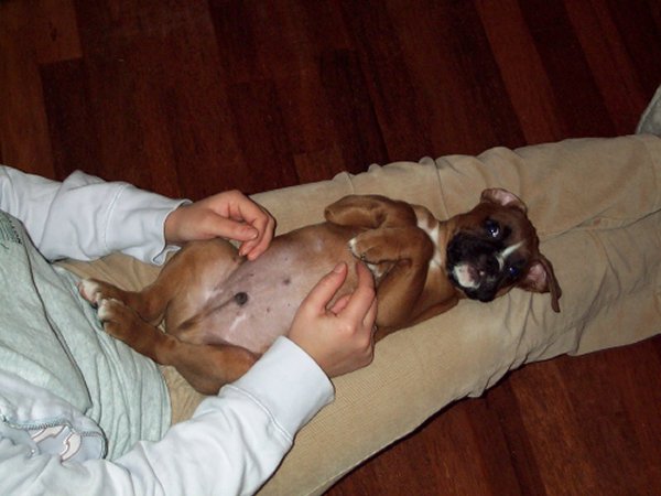 Sheer Bliss .... love from Mummy and a tummy tickle!