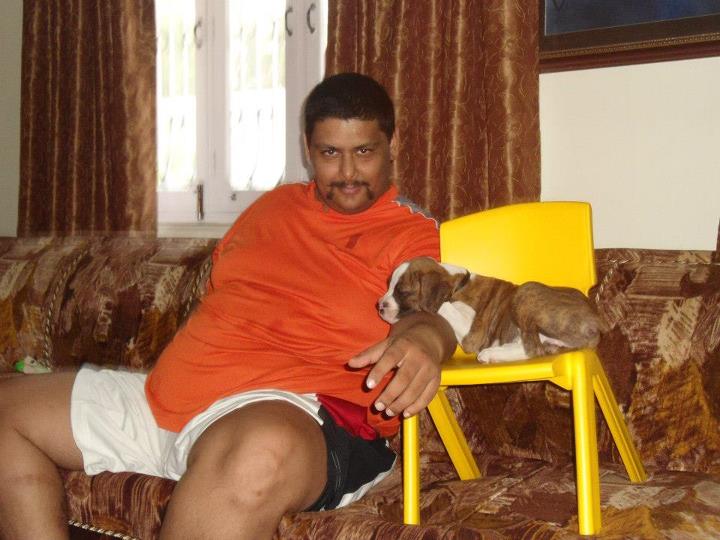 shehzada