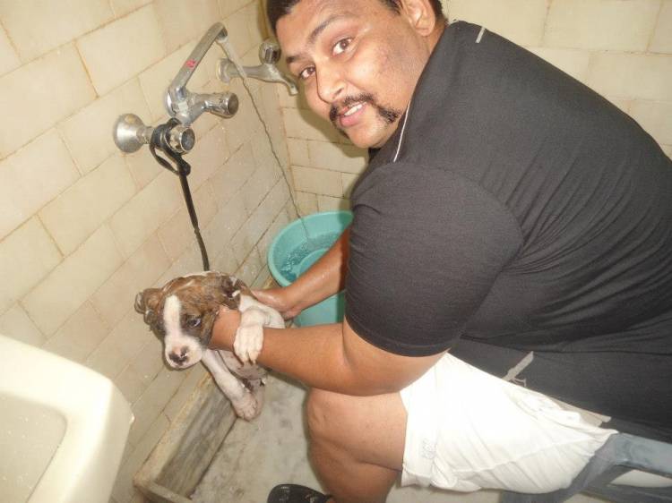 shehzada