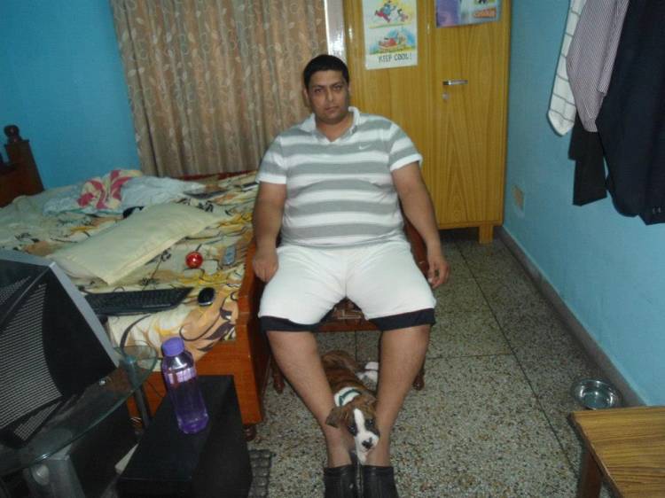 shehzada