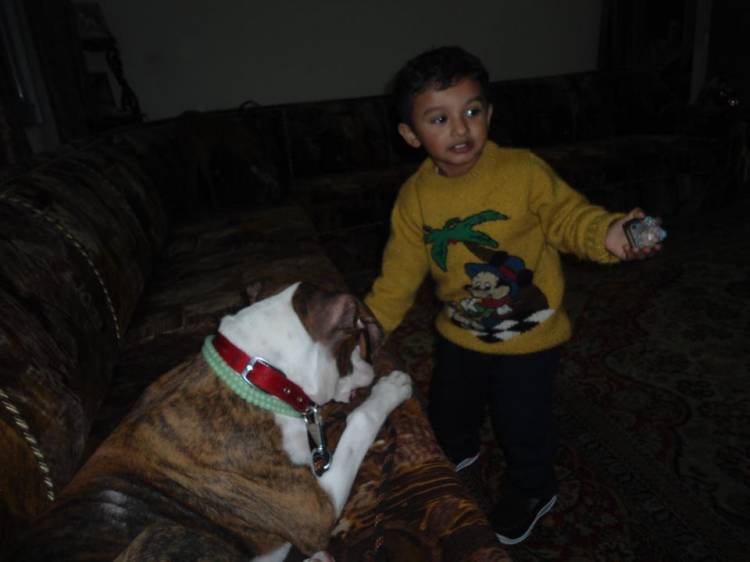 shehzada!!