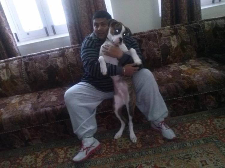 shehzada!!