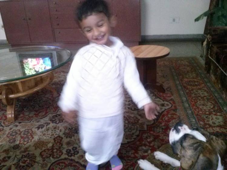 shehzada
