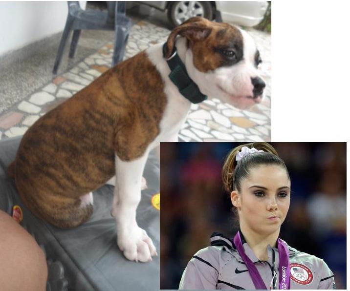 Shehzada's  take on McKayla Maroney Bitchface :P