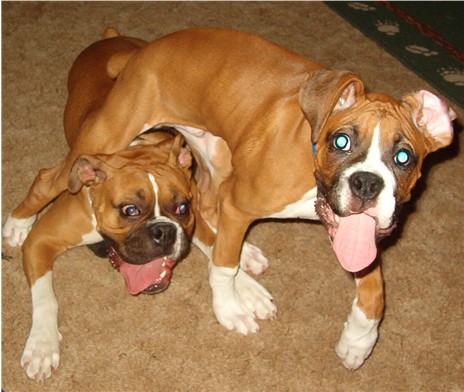 Shelby and her cousin Rocky