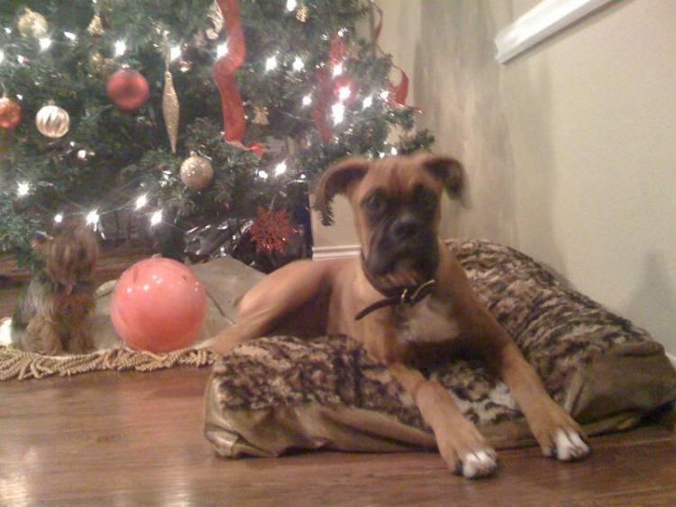 Shelby and Lexie