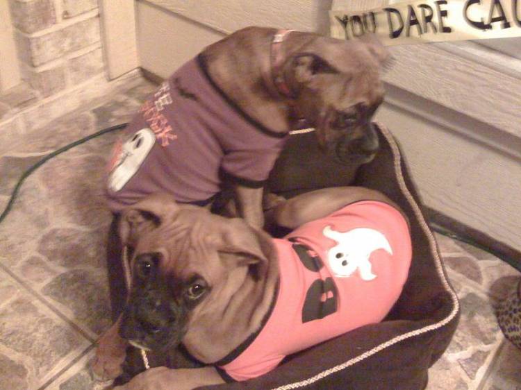 Shelby and Reilly