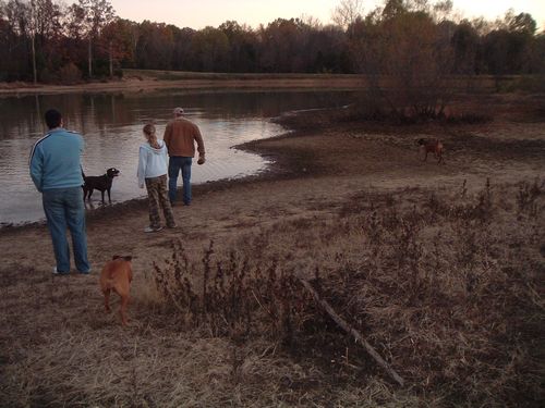 Shelby Farms Dog Park