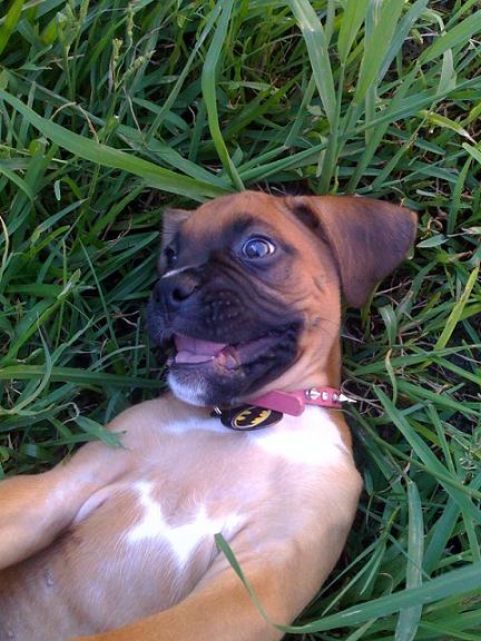 Shelby smiling