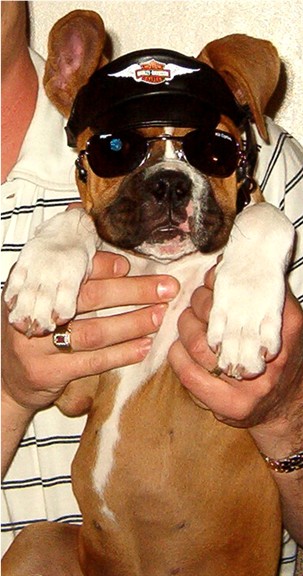Shelby The Biker Chick!