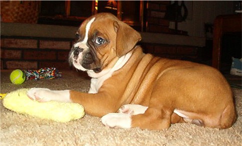 Shelby's 1st day home