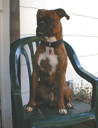 Sherb sitting