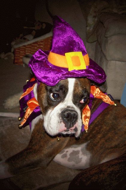 She's a witch!