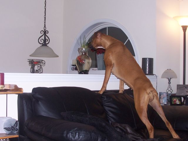 She's getting braver...
