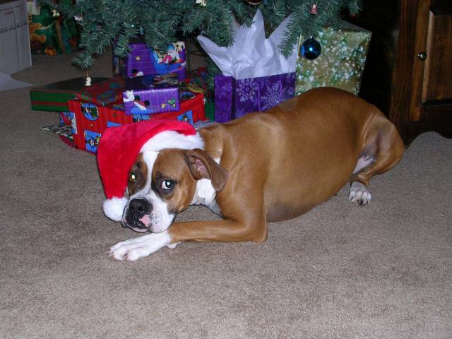She's loves her hat...can't you tell.