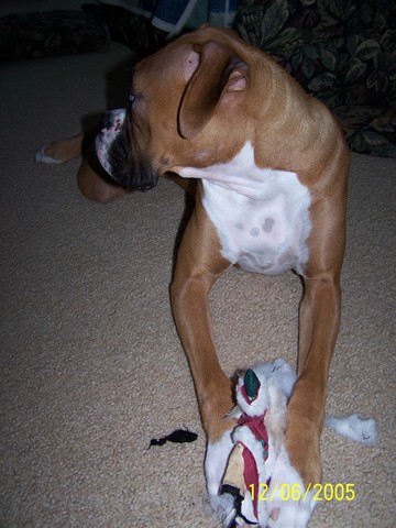 She's still not seeing me- is she???