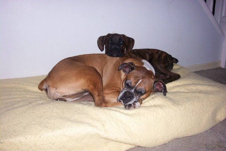 Shhh Mommy..Don't Wake Her