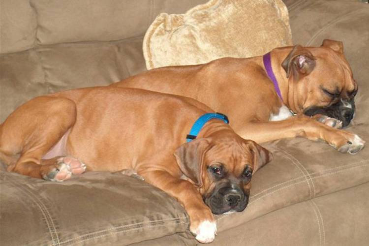 Shhh....we're sleeping!