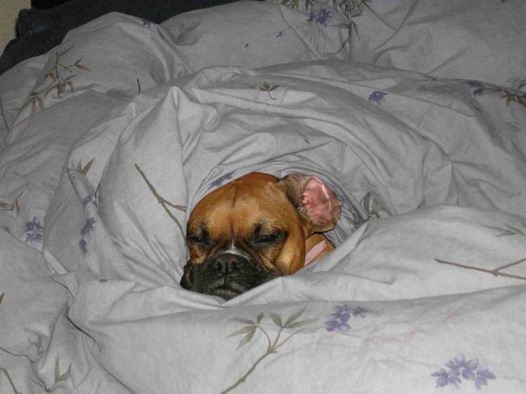 Shhhh....  Do not disturb