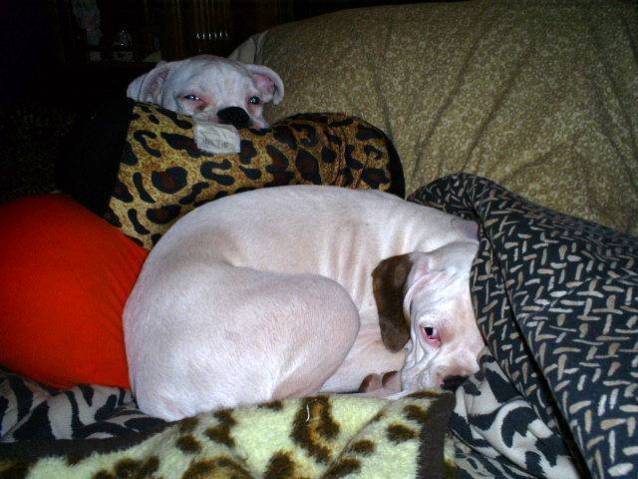 *shhhh* Maybe she won't see us! Night Night time!