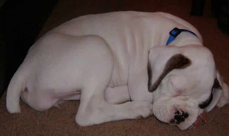 Shhhh....Payton is sleeeeeping.