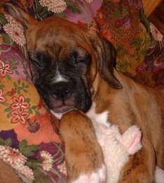 Shiva Sleeping