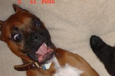 Shocked_Otis_2