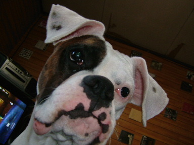 Shouhei