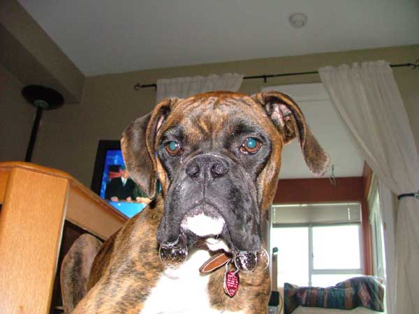 Should have called him Bubbles