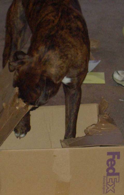 Should have used UPS