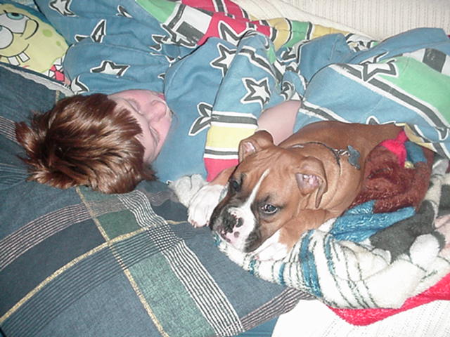 Should I get up?  I'm so warm...
