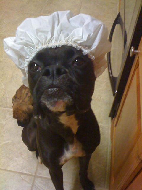 shower cap