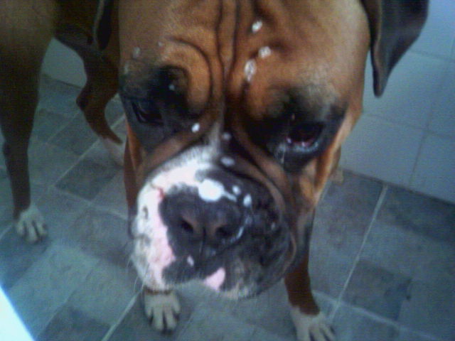 shower gel face
