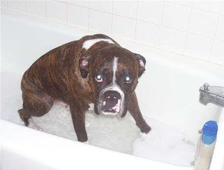 Shower Time
