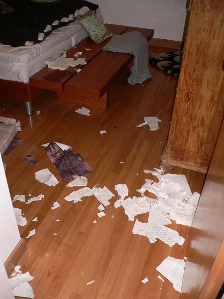 Shredder!!!