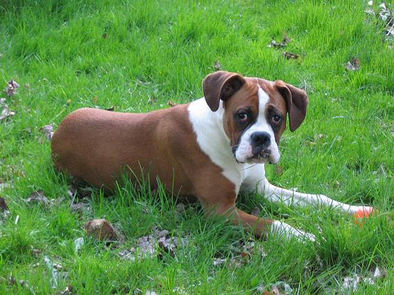 Sid in the grass