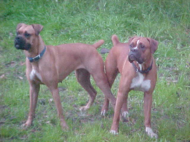 Side by Side