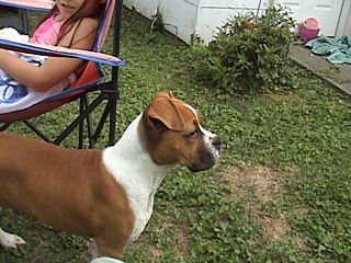 Side Profile of Cassie