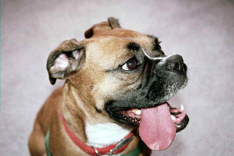 Side Tongue Maneuver