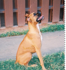 Side View