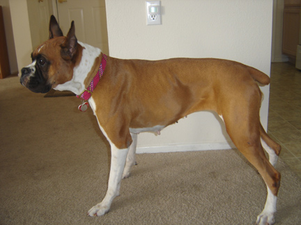 sideview