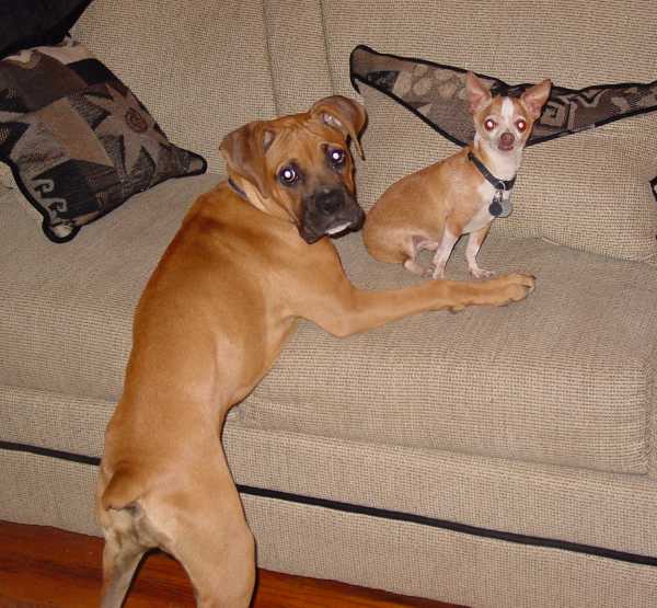 Sienna and Mokey