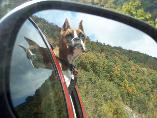 Sightseeing