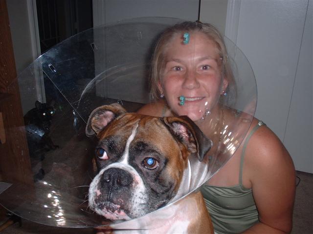 Silly E collar