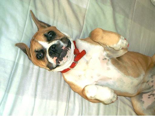 Silly Face