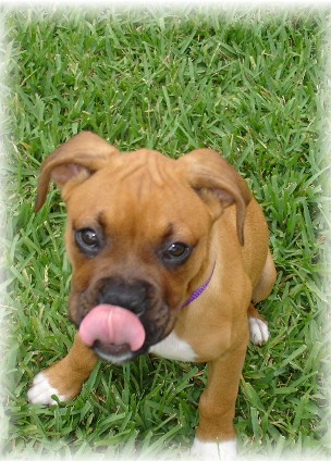 Silly Face :)