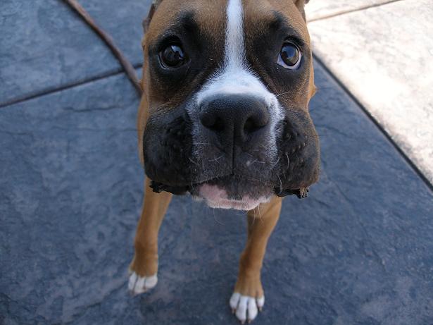 Silly face =)