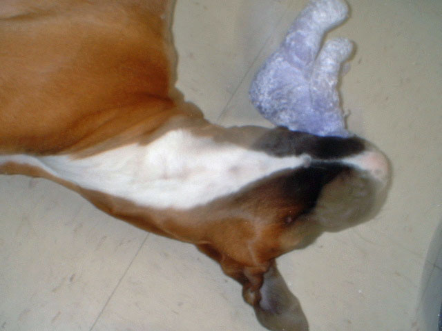 Silly girl