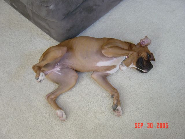 Silly Girl
