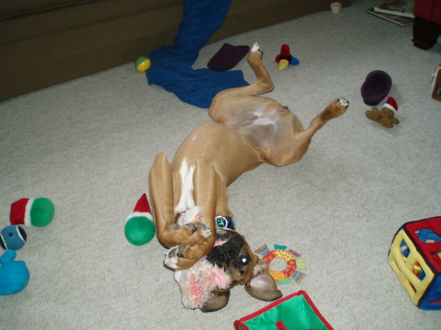 silly girl